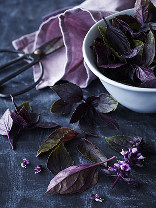 Red Basil Pesto