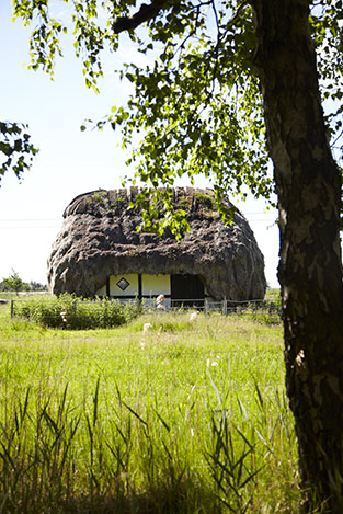 Læsø