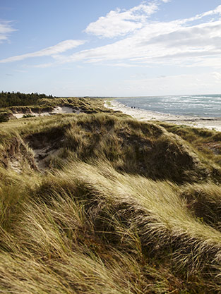 Strandgården Badehotel, Læsø