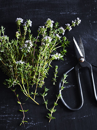 Thyme. Cooking with Salt. Recipes, foodstyling, styling & photography by Manja Wachsmuth. Recipes for MAD&venner.